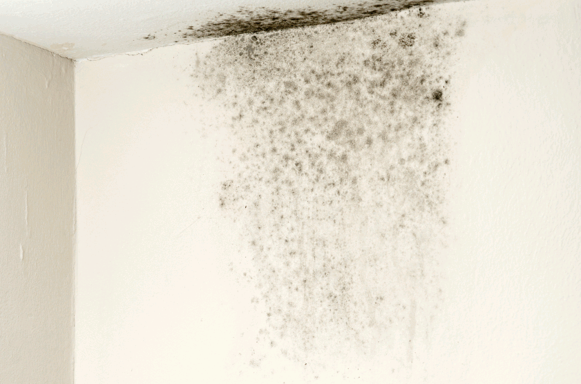 Condensation On Internal Walls