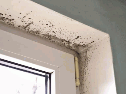 Condensation On Walls