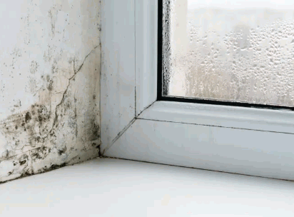 Condensation in your home