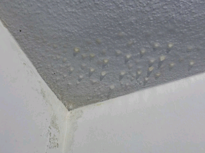Condensation on ceiling