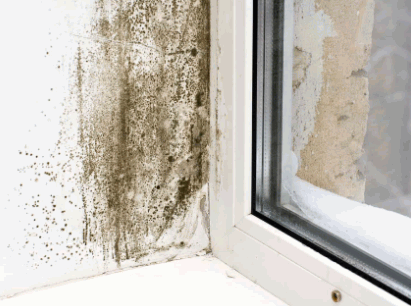 Consequences Of Condensation 1