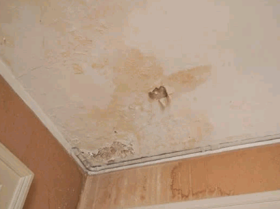 Damp Patches On Ceilings