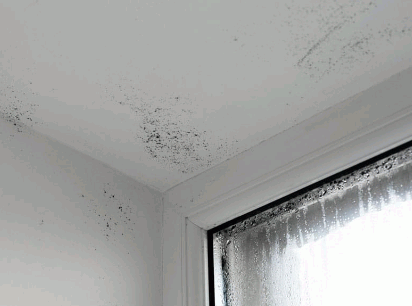 Dealing With Condensation In Your Home