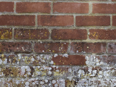 Dealing With Mould On Brick