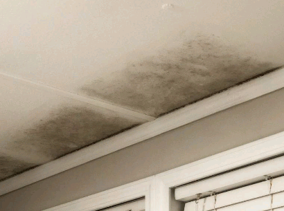 Dealing With Stubborn Mould On Ceilings