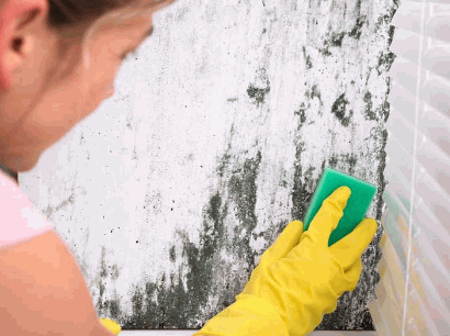 Get Rid Of Mould On Walls