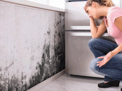 Mould in home