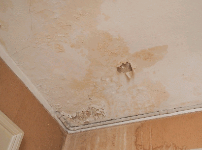 Penetrating Damp ceiling 1