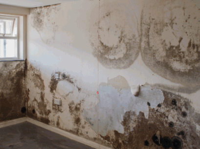 Penetrating Damp