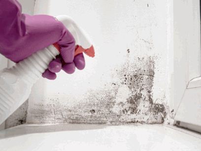 Remove Mould