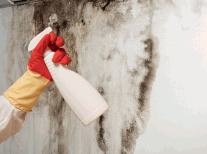 Rid mould from wall