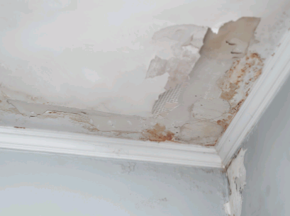 Rising Damp