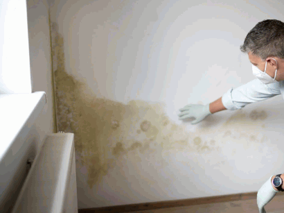 Treating Mould On Plaster Walls