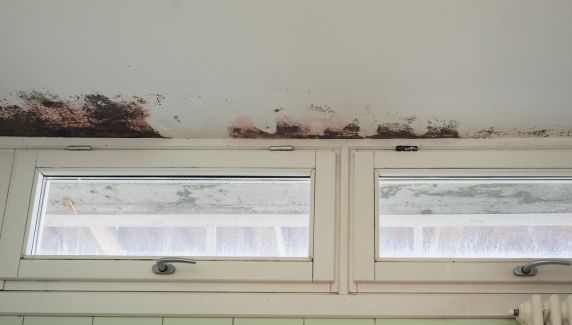 What Causes Damp Patches on Ceilings