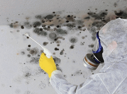 removing black mould from ceiling